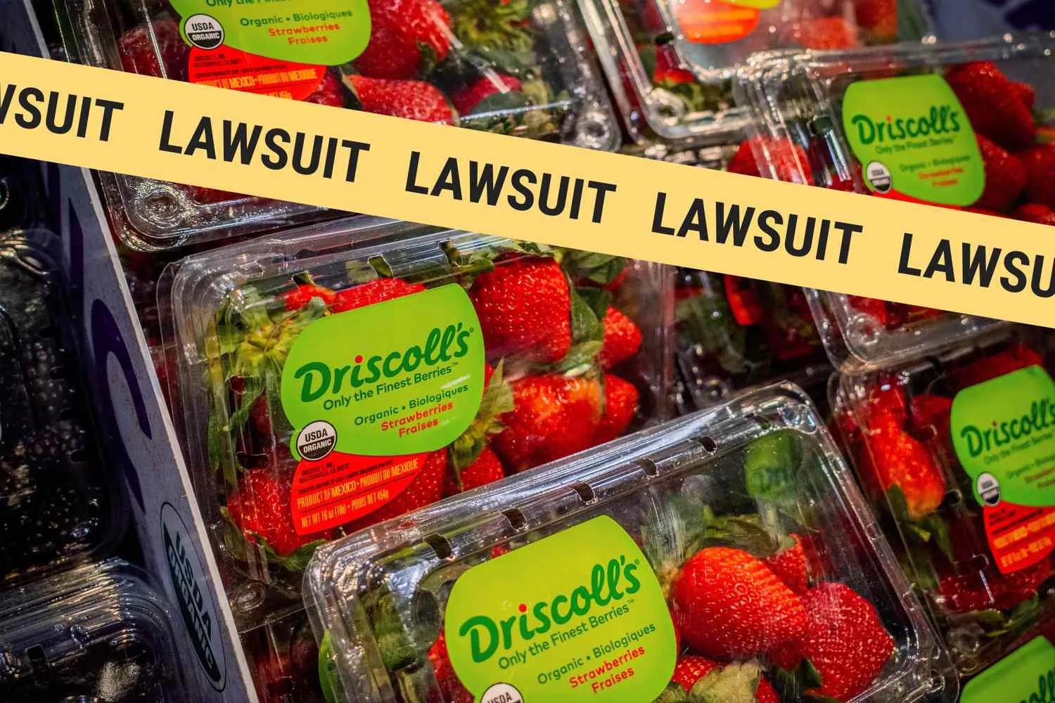 Driscoll's Sued for Deceiving Shoppers-Its Strawberries Contain "Forever Chemicals," Lawsuit Claims